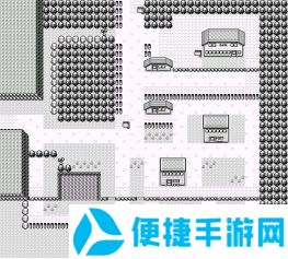 精灵宝可梦皮卡丘一周目图文攻略 完美详细迷宫+全道具收集